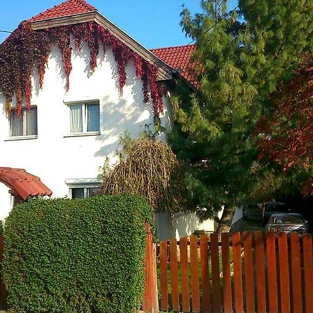 Viola Vendeghaz Apartment Kehidakustany Luaran gambar