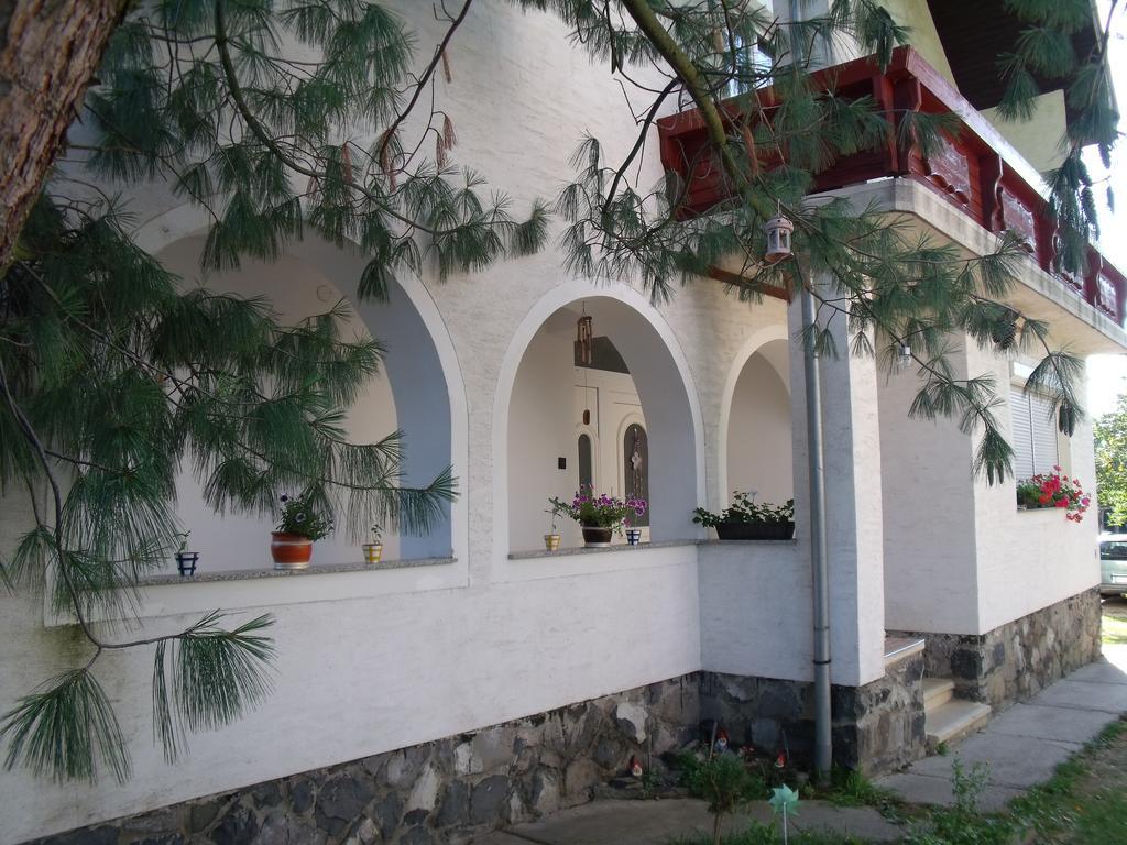 Viola Vendeghaz Apartment Kehidakustany Luaran gambar