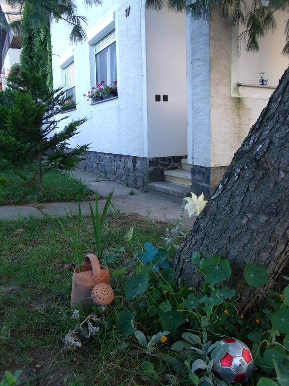 Viola Vendeghaz Apartment Kehidakustany Luaran gambar